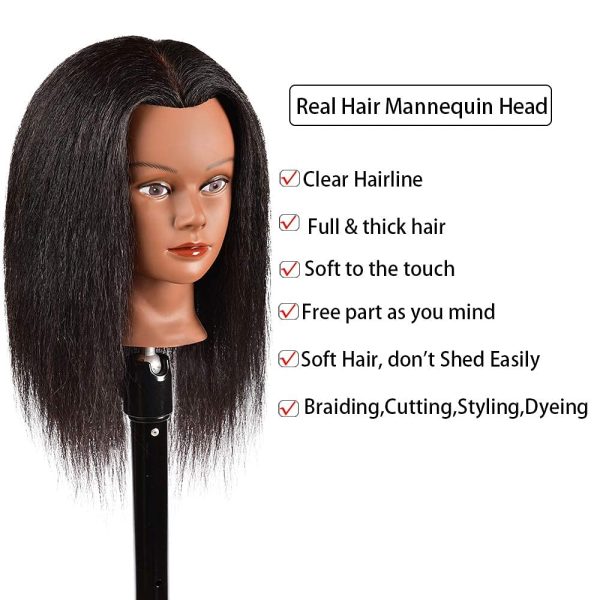 Mannequin Head 100% Real Human Hair 16 inch, Braiding Styling Doll Practice  Head